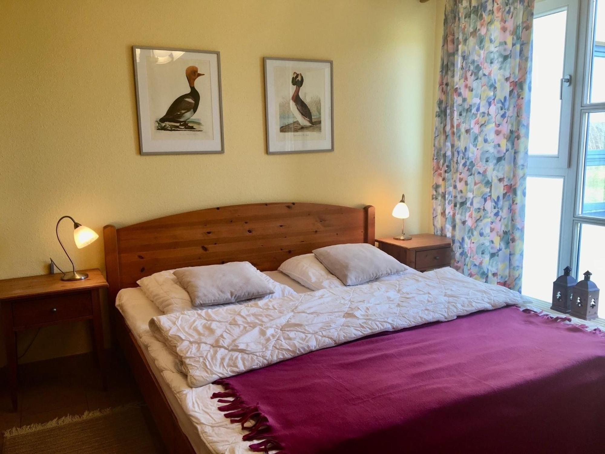 Ostseeresidenz - Whg 15 Ostseeblick زنغست المظهر الخارجي الصورة